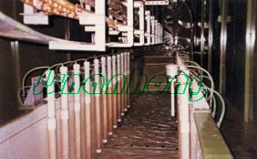 连续通过式电泳